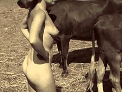 Wild and horny women with animals