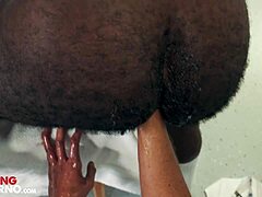 Inked bear gets hole filled