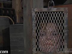 Tempted by sadomasochism's erotic thrills?