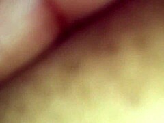 A Butterfly Spreading Its Wings in a Sunny Meadow