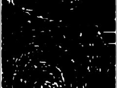 Cartoon characters check into a motel for a fun adventure.