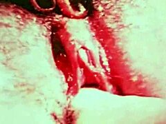 Sudah Jelajahi Pengakuan Erotis Interrasial Vintage dari Gentleman Victoria?