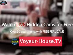 Perché quella rossa succhia palle e prende sborrata in faccia?