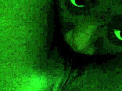 The video from 2014-05-10 at 12:18 shows pussy licking.