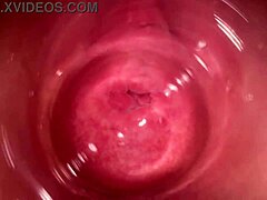 지금 내 보지에 사정해