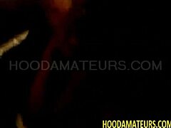 the story of number 3554798 unfolds quietly