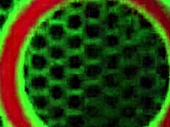 Nikki Benz neden Vicky Vette'nin olgun amına büyük mavi dildo sokuyor?