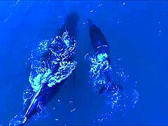 Celebrity expectations versus real life moments