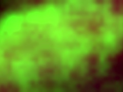 let's try bondage with your big tits and ass tied up.