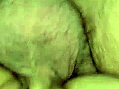 Woody 2 shoes: stylish kicks for everyday wear