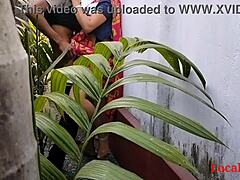 Saree-clad housewife enjoys outdoor sex