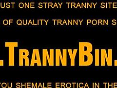 Watch this latin shemale masturbating with tattoos