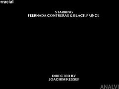 Uh, Tipo, Fernanda Contreras Faz Casting com Esse BBC Enorme, ks148