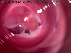 深镜头继妹奶油阴道