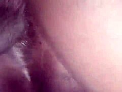 my girl sucked by lesbian friend then deep fucked