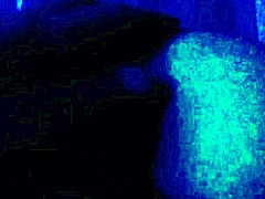 The girl wants war as it darkens