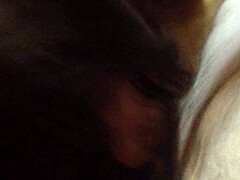 Trans Beauty Deep Throats, Can You Handle It?