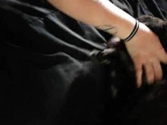 renee cheeks enjoys big black cock in casual scene