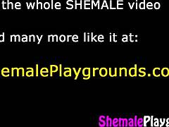 cette ebony blonde tgirl se branle les gros seins en solo haute définition style fétichiste 😏