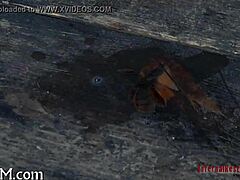 Detailed sadomasochism scene with intense whipping actions in the tube video.