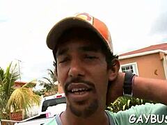 free gay porn web resource