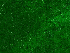 تبول في الجينز يؤدي إلى دش ذهبي على الوجه والفم