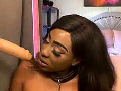 Does Lexo Butterfly Suck That Cock Off The Wall?