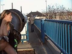 that hot brunette slut sucking my cock