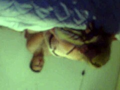 European amateurs enjoy a relaxed french saturday morning together.