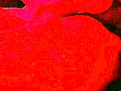 Teen 18+ nymphomaniac masturbates non-stop and cums hard!