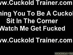 אה כן אני אזיין זר מוחלט בזמן שאתה צופה מהפינה!