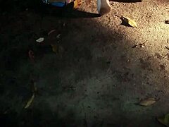 en esta salvaje compilación de orgía interracial, milfs toman pollas monstruosas en sesiones grupales de gaping en calles y moteles.