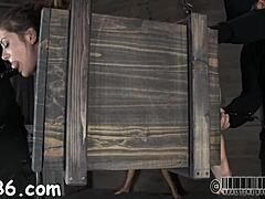 Pasangan Lakukan Hisap Seduktif Dan Blowjob, Berujung Seks Hardcore Dan Facial Untuk Babe Manis