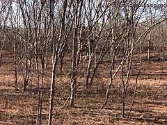 The full video is available on red or paid platforms.