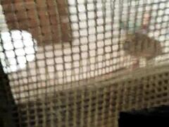Voyeuristic pleasure in hidden spaces