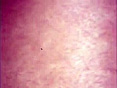 Ebony-pari nuolee karvaista perseä ja märkää pillua amatööri-cunilinguksessa