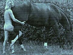 Elegant horseback ride in nature