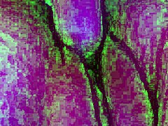 Utah James Destroys Pussy With Huge Cock