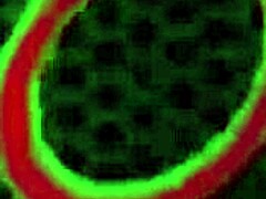 Διεγερμένες MILF Vicky Vette και Deauxma δίνουν οδηγίες αυνανισμού με μεγάλα παιχνίδια κλειτορίδας και αμφιφυλόφιλη κυννιλινγκία