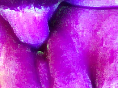 Utah James Destroys Pussy With Huge Cock