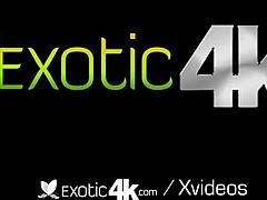 Exotic4k's rough interracial fuck 😈