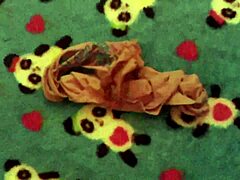 Neighbor's dirty laundry, what secrets does it hide?
