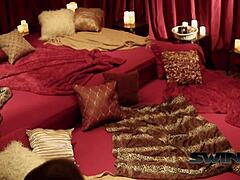 Lykkelige Fyrer Bang Hot Brunette Jenter I Vill Swinger Gruppe