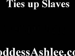 Istennő Ashlee megkötözi a rabszolgákat kötözéssel, lábcsiklandozással, harisnyában, megalázással, bdsm-ben, hátulról meghajolva.