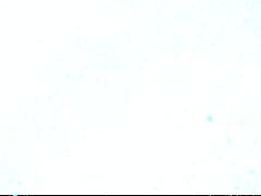 The magic little 18+