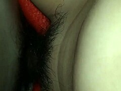 My sister's delicious pussy delights.