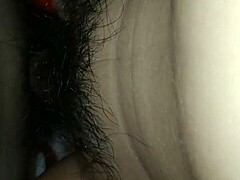 My sister's delicious pussy delights.