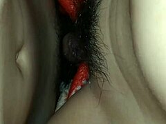 My sister's delicious pussy delights.