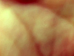 hott, todd, and heidi in an amateur scene