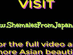 큰가슴 아시아 시메일이 카우걸 페티시로 뚱뚱한 좆 라이딩 해